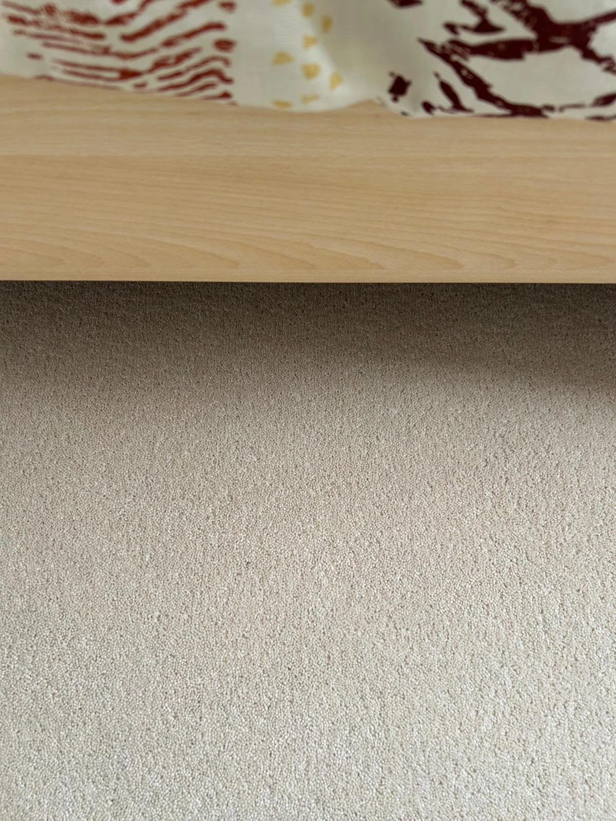 Carpet Cleaning after cleaning