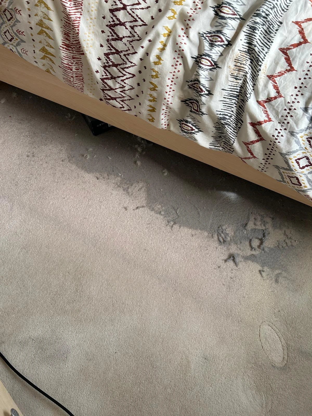 Carpet Cleaning before cleaning