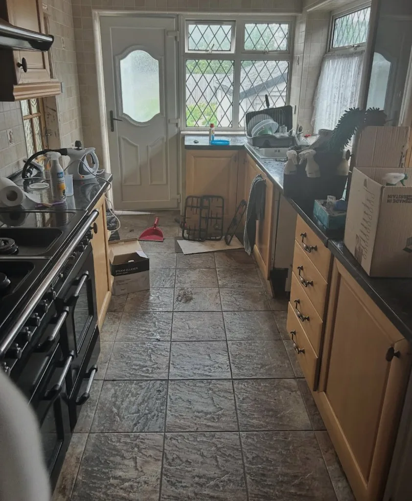 Kitchen Deep Clean before cleaning
